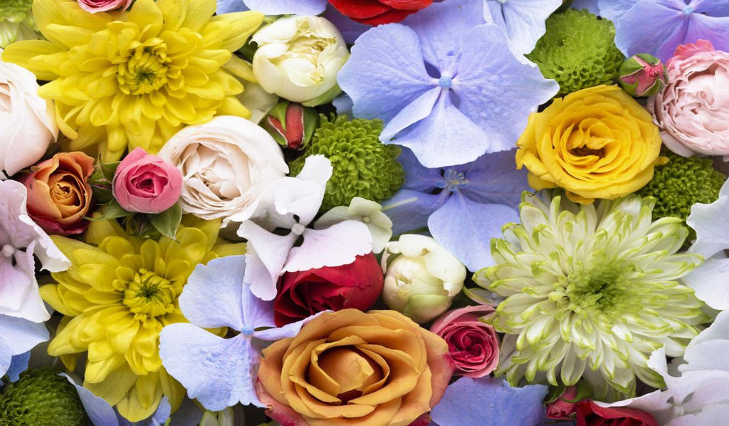 Types of Flowers Available for Delivery