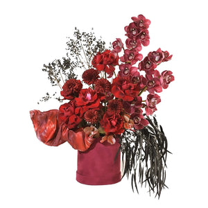 Cymbidium love | Valentines day Flowers | The Botanical Lounge