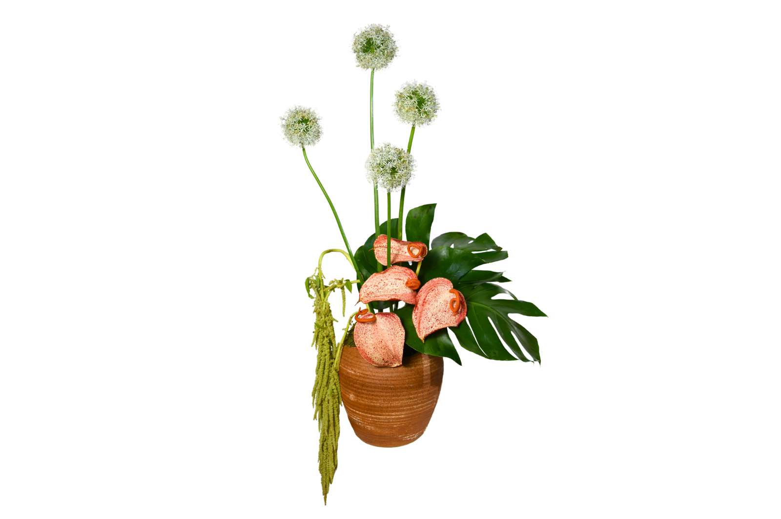 Julieta Raspberry Flower Delivery Dubai | Online Florist Shop UAE | The Botanical Lounge