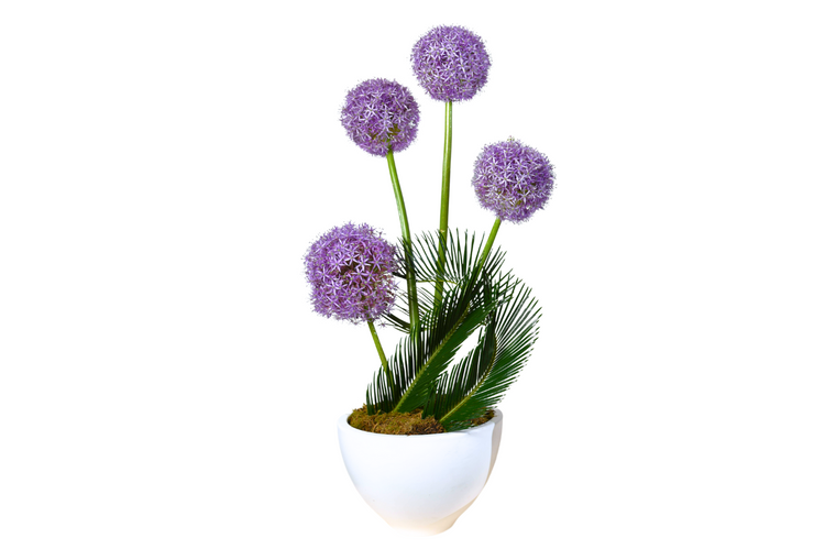 Chic Allium Spike Small