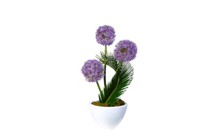 Chic Allium Spike Small