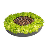 Mix choco Hydrangeas