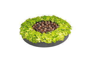 A circular arrangement of various small flowers and green leaves in a container, resembling a hydrous mix.
