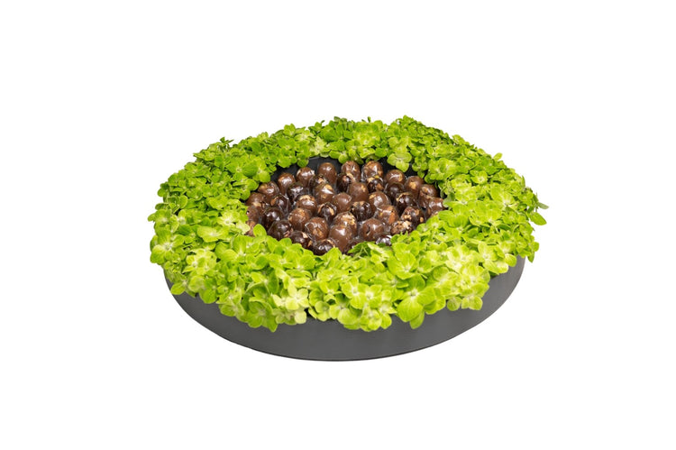A circular arrangement of various small flowers and green leaves in a container, resembling a hydrous mix.