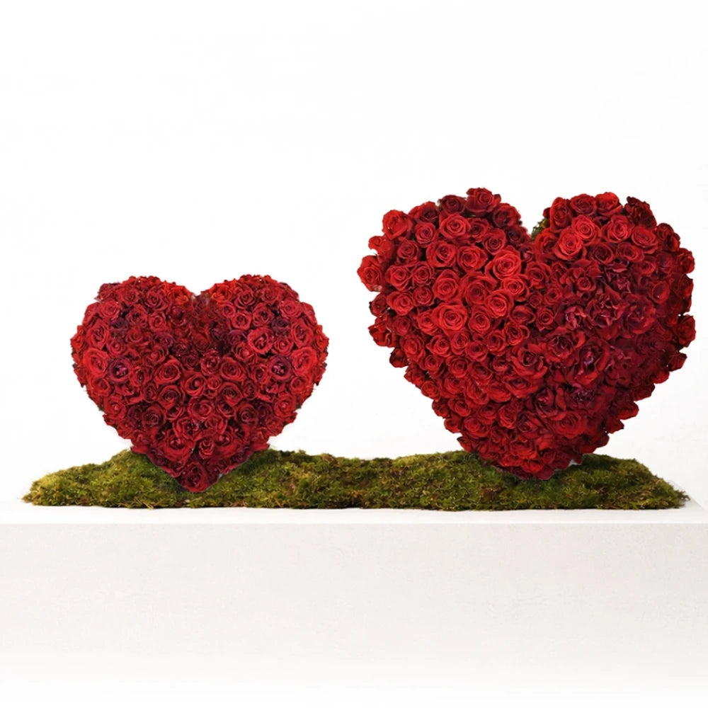 Mountain Hearts | Valentines day Flowers | The Botanical Lounge