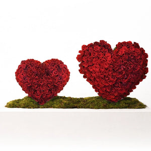 Mountain Hearts | Valentines day Flowers | The Botanical Lounge