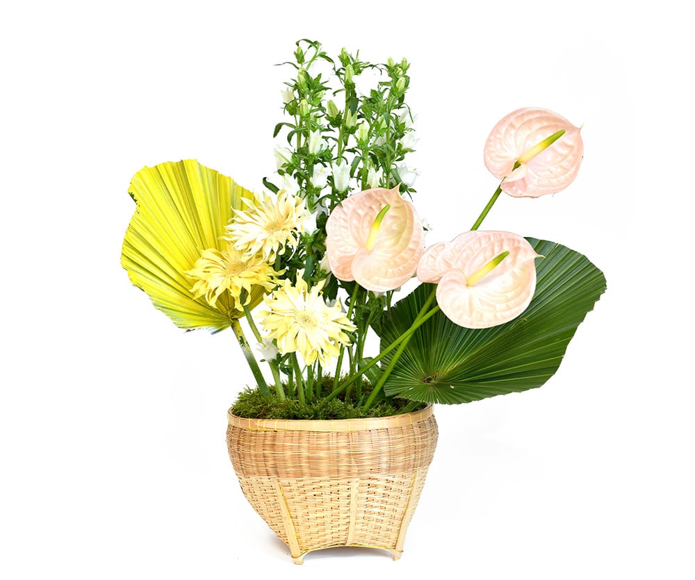 Palm Elegance Premium Flowers Delivery UAE | The Botanical Lounge