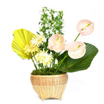 Palm Elegance