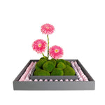 Pyramid Pink Choco Bera