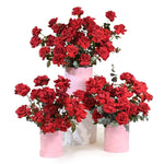 Signature Hearts Boxes