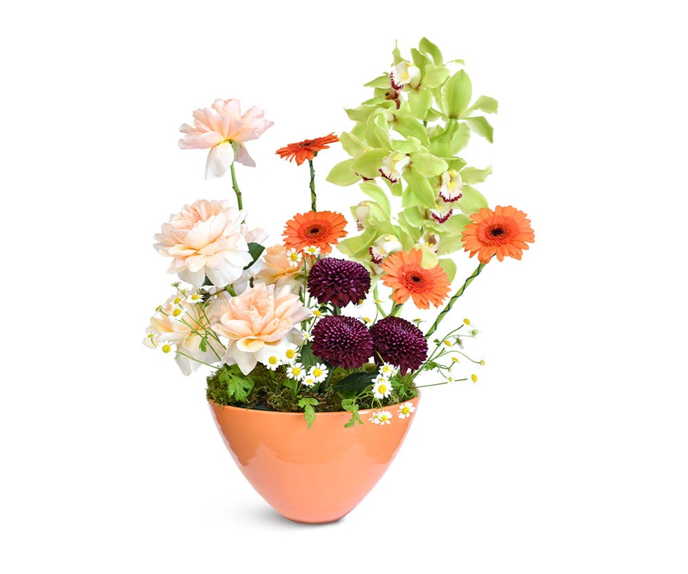 Summer Carnival Premium Flower Delivery The Botanical Lounge