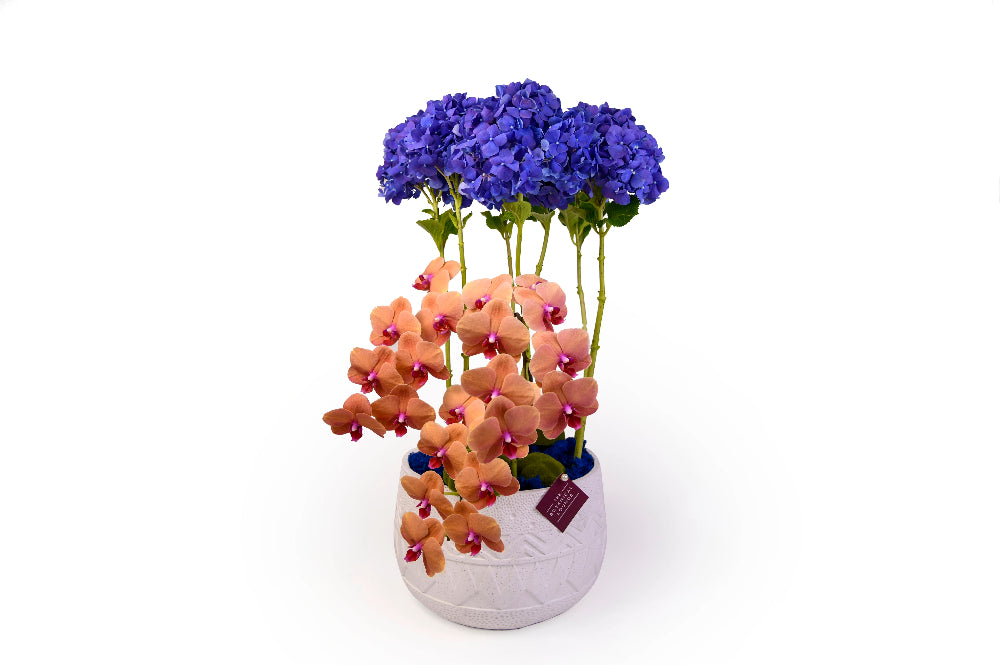 Hydrangea vase flowers