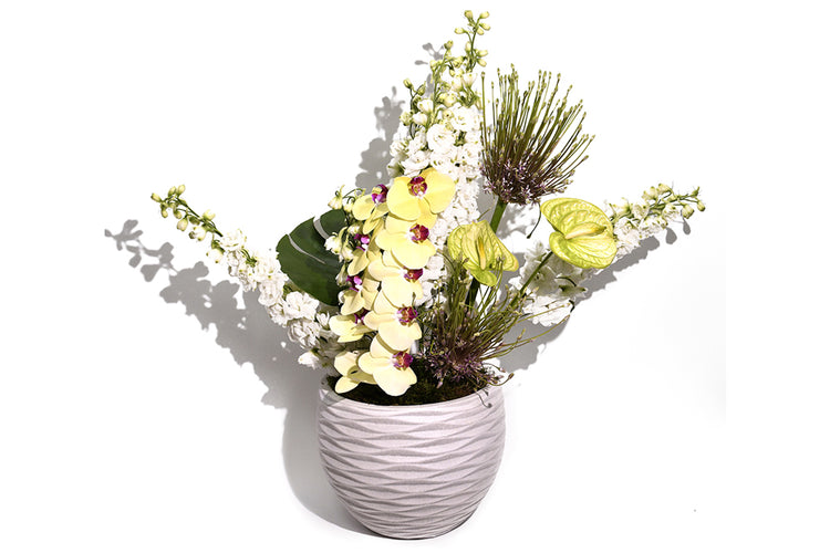 The Garden vase
